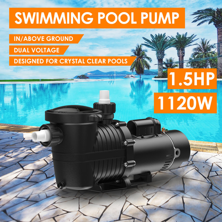 IVY&LANE High Efficiency Pool Pump Wayfair Canada